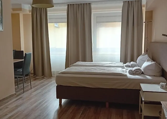 ホテル Frankfurt 3*